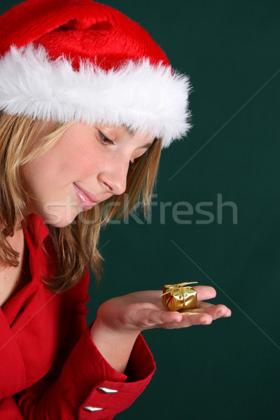 Christmas meisje mooie tiener Rood Stockfoto © vanessavr