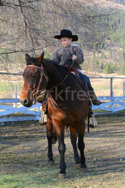 Cowboy Stock photo © vanessavr