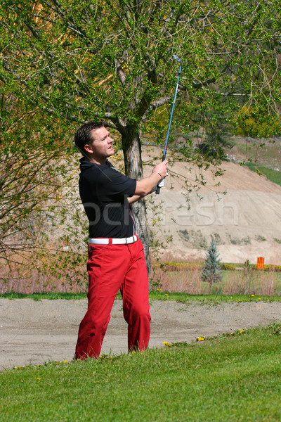 Young golfer Stock photo © vanessavr