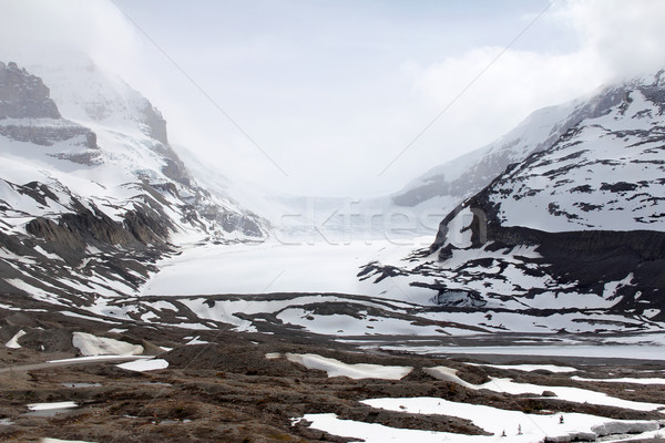 Columbia Icefield Stock photo © vanessavr
