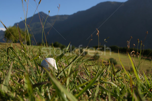 Golf Ball in Grass Stock photo © vanessavr