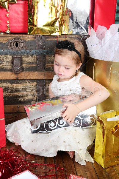 Christmas Girl Stock photo © vanessavr
