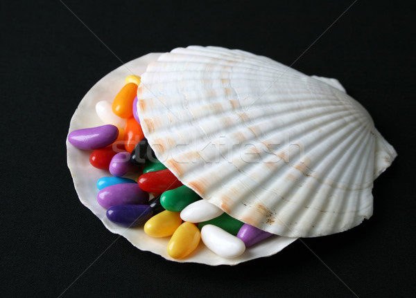 Jelly beans shell faible mer bol nature [[stock_photo]] © vanessavr