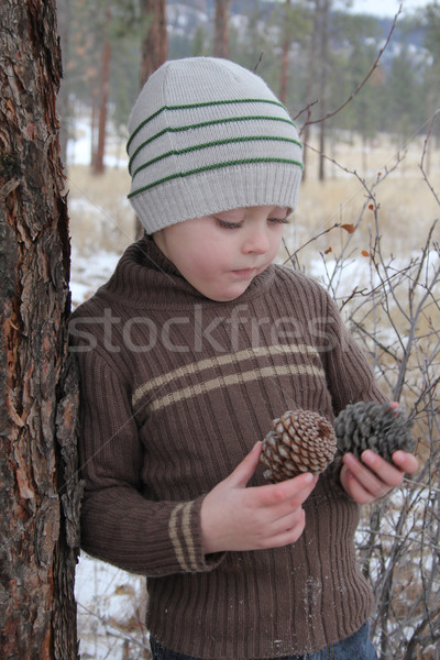 Winter Boy Stock photo © vanessavr