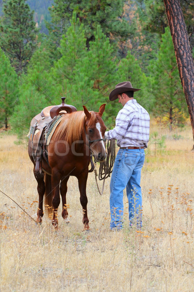 Cowboy travail cheval domaine homme jeans [[stock_photo]] © vanessavr