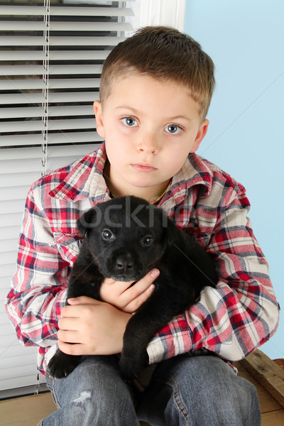 Fiú kutyakölyök gyönyörű szőke fekete ablak Stock fotó © vanessavr