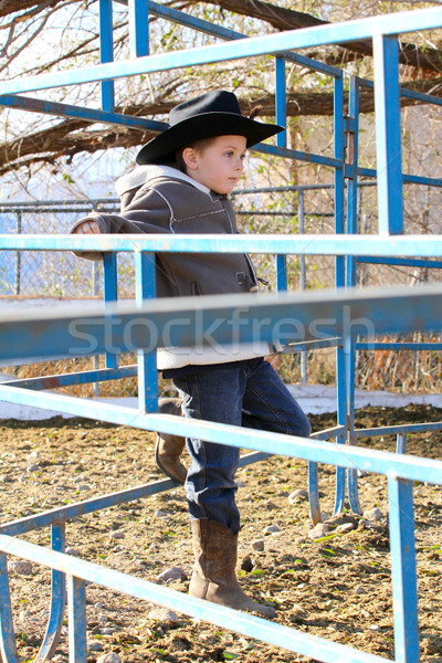 Cowboy Stock photo © vanessavr