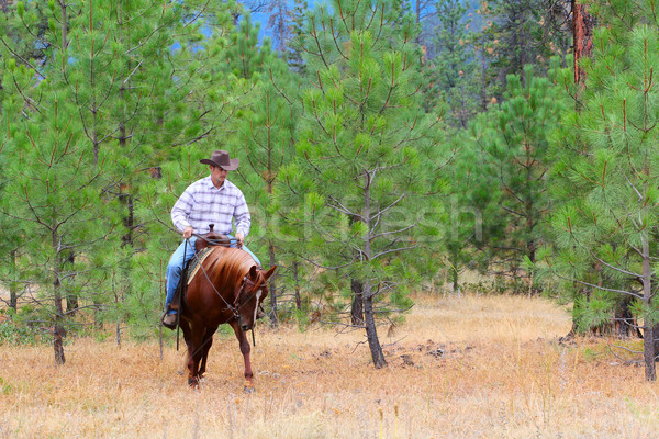 Stock photo: Cowboy