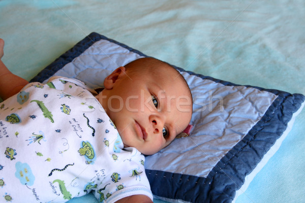Baby week oude jongen Blauw deken Stockfoto © vanessavr