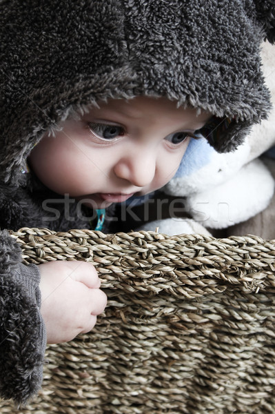 Baby beer vier maand oude jongen Stockfoto © vanessavr