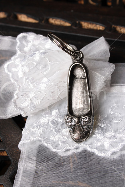 Silver Shoe Stock photo © vanessavr