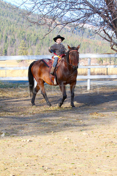 Stock photo: Cowboy and horse