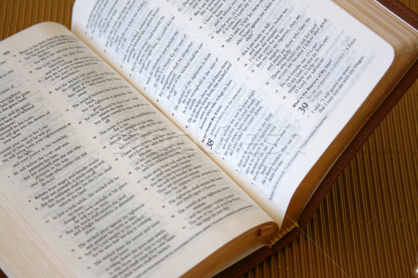 öffnen Bibel Leder geöffnet Stück Schrift Stock foto © vanessavr