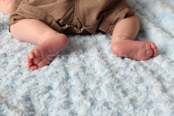 Baby feet Stock photo © vanessavr
