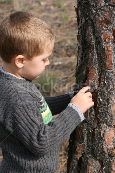 Boy chipping bark Stock photo © vanessavr