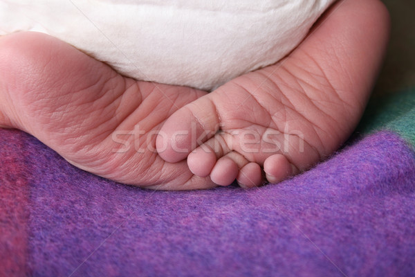 Foto stock: Recém-nascido · pé · enrolado · bebê · segurança · seguro