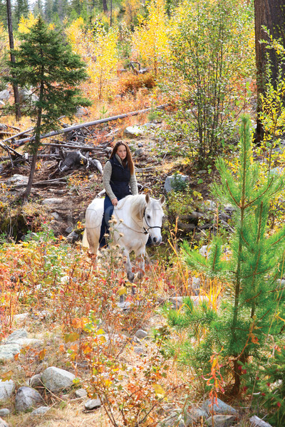 Horseback Riding Stock photo © vanessavr