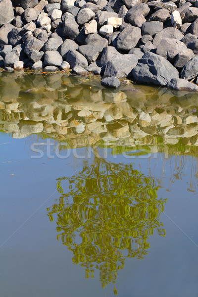Reflection Stock photo © vanessavr