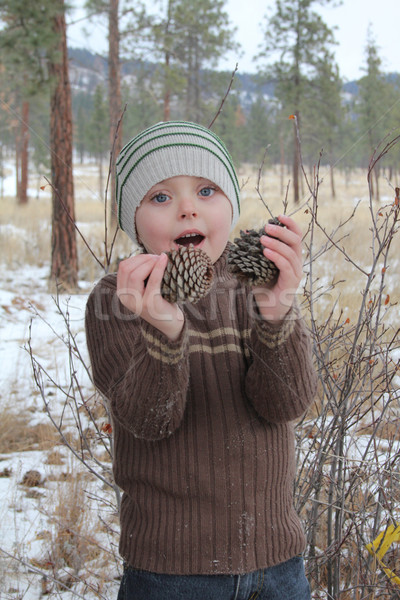 Winter Boy Stock photo © vanessavr