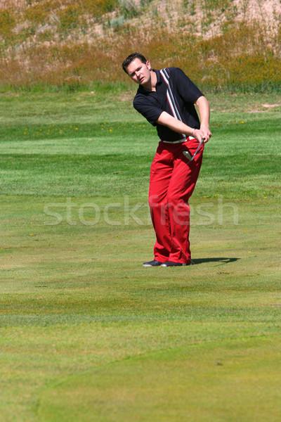 Genç golfçü oynama yonga atış adam Stok fotoğraf © vanessavr