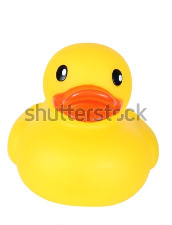 Toy duck Stock photo © vanessavr
