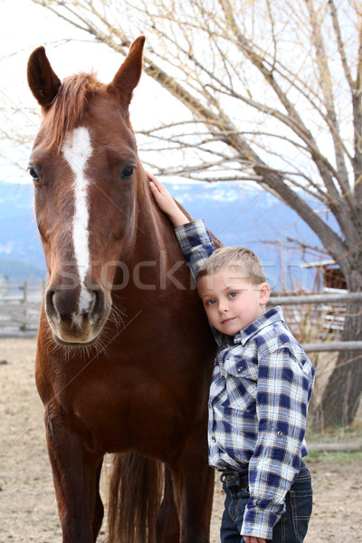 Boy and Horse Stock photo © vanessavr