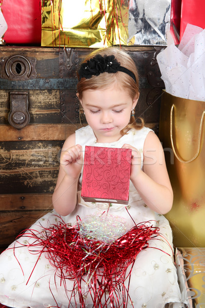 Navidad nina nina vestido mirando Foto stock © vanessavr