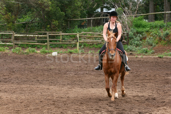 Horse Riding Stock photo © vanessavr