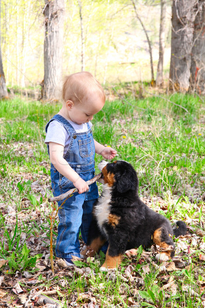 Vrienden denim spelen puppy Stockfoto © vanessavr