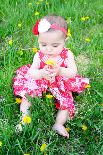 Flower baby Stock photo © vanessavr