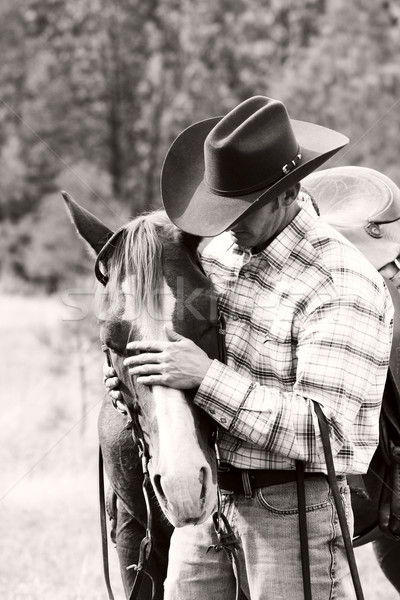 Cowboy werken paard veld man jeans Stockfoto © vanessavr