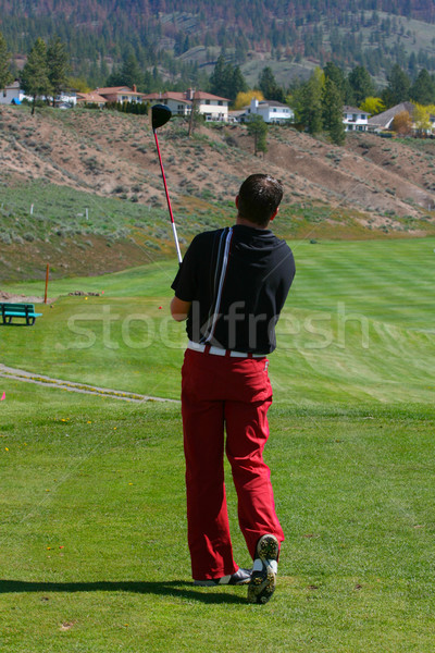 Jóvenes golfista masculina unidad tiro hombre Foto stock © vanessavr