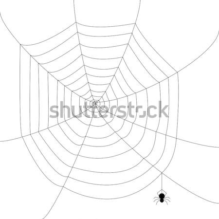 Spinnennetz Spinnen Web schwarz Spinne Zeichnung Stock foto © vankad