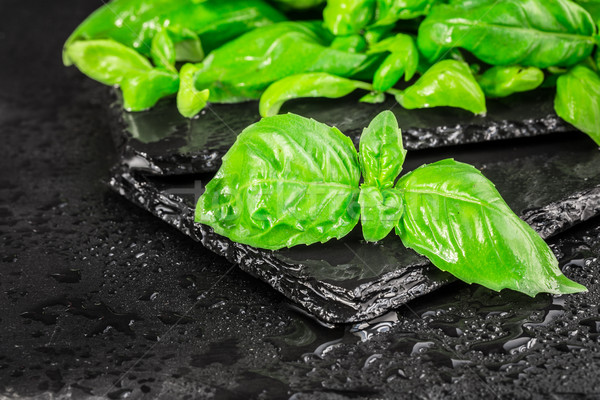Basil leaves on a black slate Stock photo © vankad