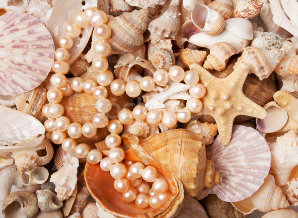 Pearl nacklace on a sea shell background Stock photo © vankad
