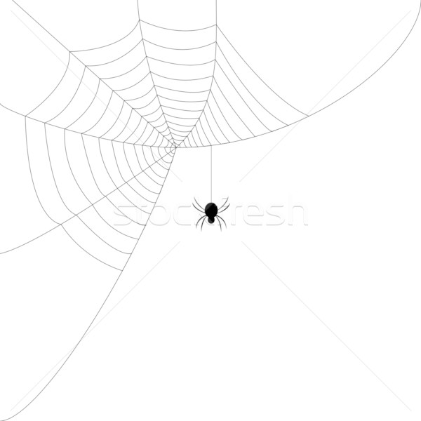 Spinnennetz Spinnen Web schwarz Spinne Zeichnung Stock foto © vankad