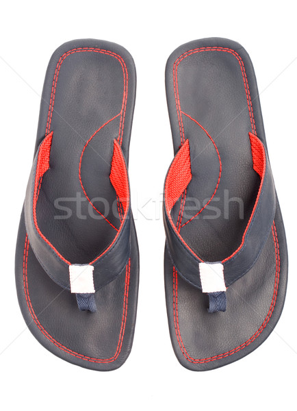 Pair of flip flops Stock photo © vankad