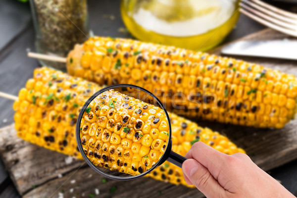 Magnifying glass examining grilled corn cob Stock photo © vankad