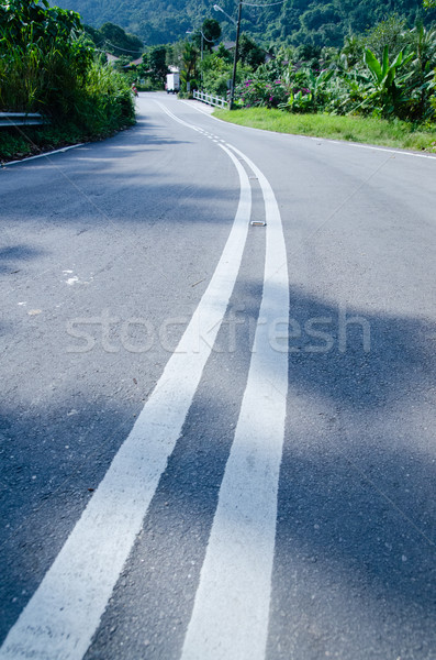 Empty road with reflectors in tropic forest Stock photo © Vanzyst