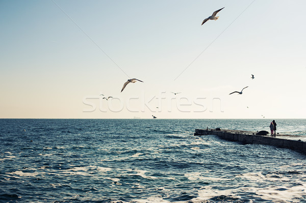 Picturesque panorama of the Black Sea Stock photo © Vanzyst