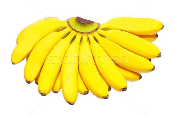 Stock photo: Butch of small bananas.