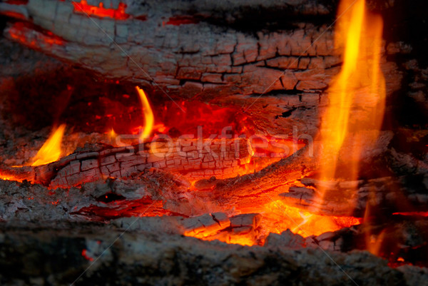Flame tips on the firewood.  Stock photo © vapi