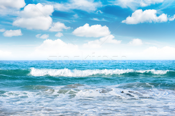Sea with waves and clouds Stock photo © vapi