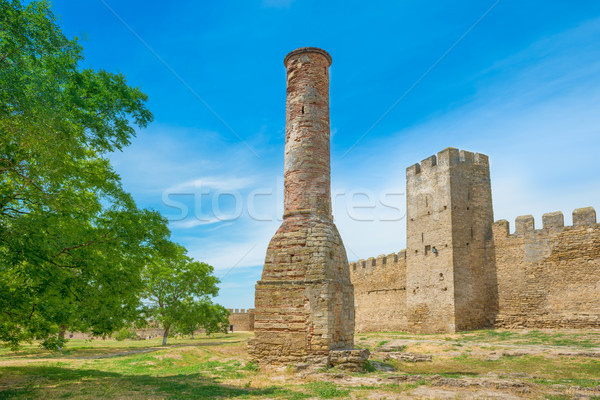 Ancient castle wall in the park Stock photo © vapi