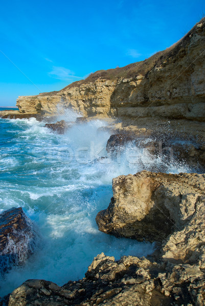 Grande onde shore mare schiuma spiaggia Foto d'archivio © vapi