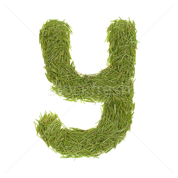 Green alphabet, letter Y Stock photo © vapi