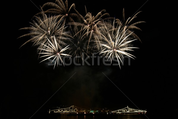 Colorful fireworks Stock photo © vapi