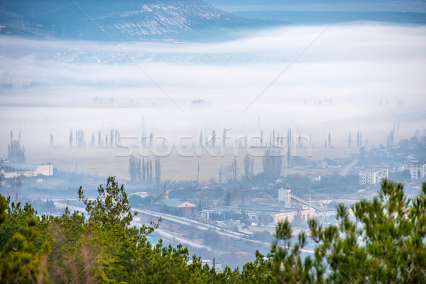Misty town Stock photo © vapi
