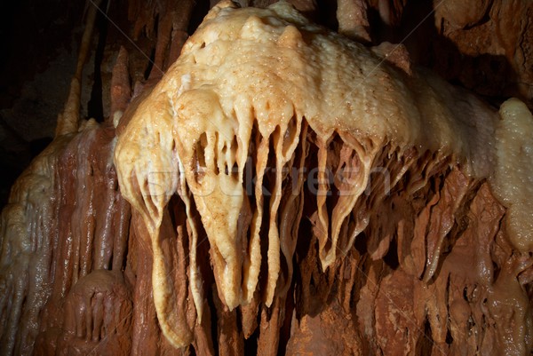 Stone medusa in the cave Stock photo © vapi