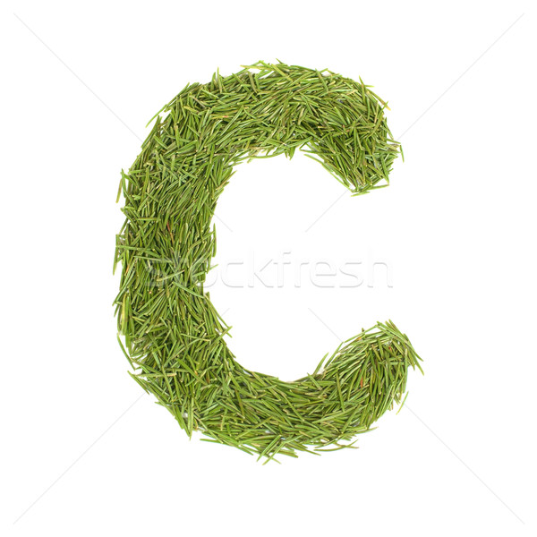 Groene alfabet letter c geïsoleerd witte voorjaar Stockfoto © vapi